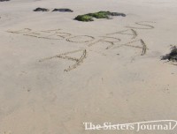 /album/the-sisters-journal-/com-a-nossa-marca-jpg/